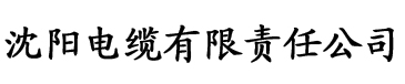 有免费一级c片电缆厂logo